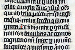 Literatura: Ejemplo de caligrafía en latín que representa una Biblia de 1407.