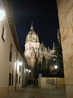 Vista de la catedral de salamanca.JPG